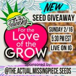 For the Love of the Grow: The 420 Fellowship’s Free Seed Giveaway